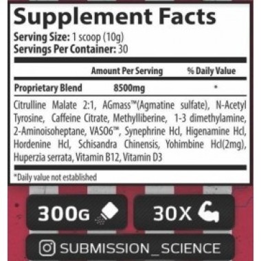 SUBMISSION SCIENCE ROCKY KO ROUND 2 300G Submission Science